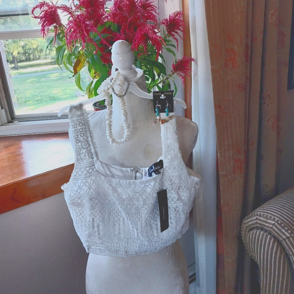 A Lulus Brand Pretty Crop Lace Top.